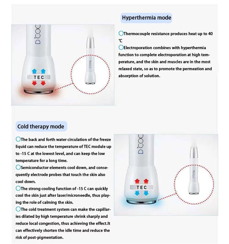 3 in 1 Electroporation Skin Rejuvenation Cooling Facial Treatment Machine D Cool With EMS Facial Machine
