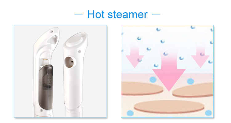 Facial Steamer Function