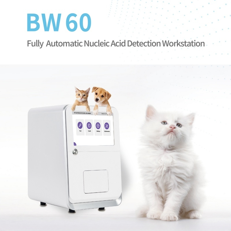 Fully Automatic PCR System for Veterinary Use Real-Time PCR Machine for Nucleic Acid Analysis Animal Disease Testing