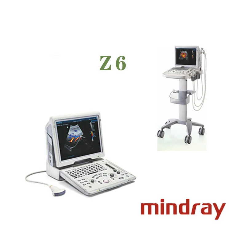 Ultrasound Display 3
