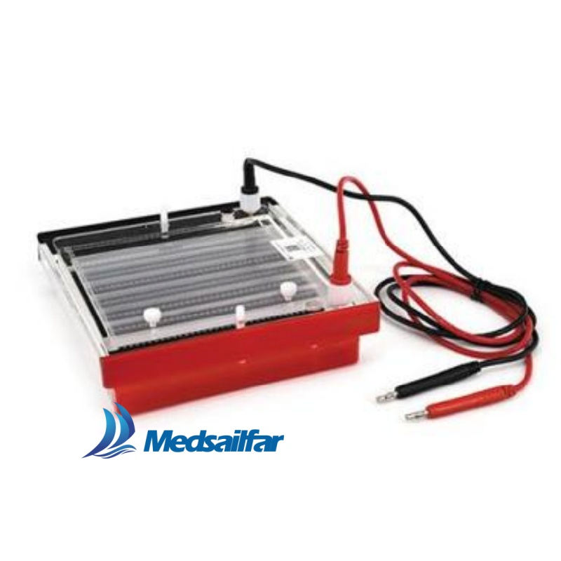 Medical Lab DNA Analysis Equipment Vertical Mini Electrophoresis Tank Systems