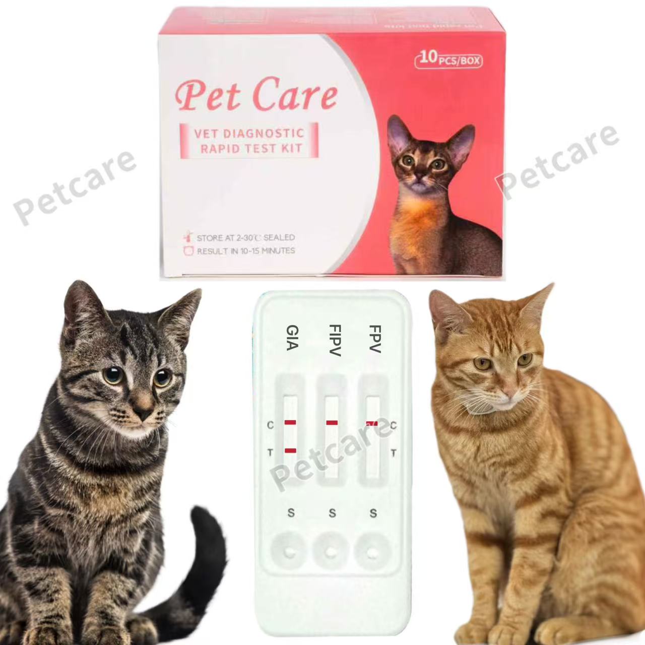 Low Price No MOQ Veterinary FIPV Rapid Test Kit - Feline Infectious Peritonitis Virus Ag Reagent VID for Cat Disease Diagnosis