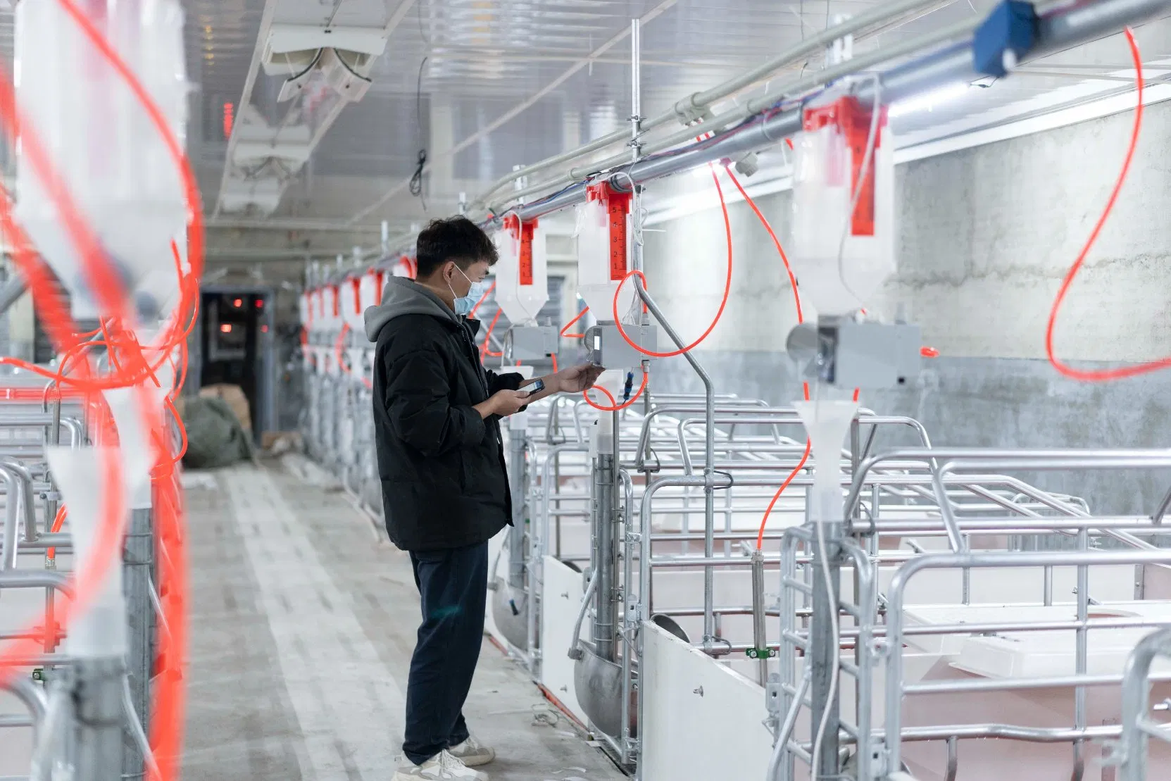 Optimize Swine Production Using K16PRO Multi-Sensor Fusion and Real-Time Data Analysis Platform