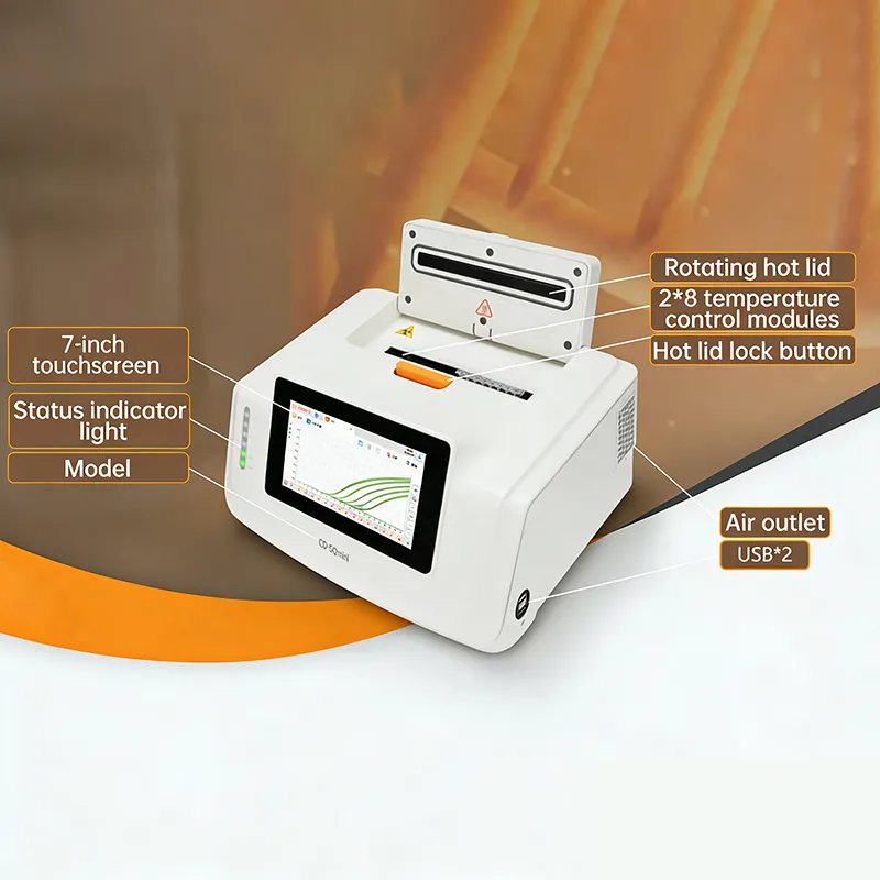 Real-time PCR Analyzer
