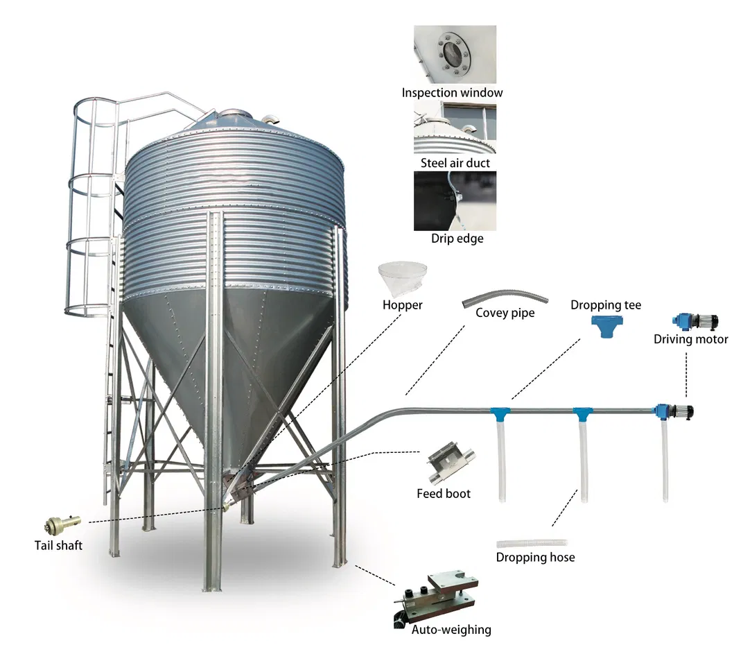 Feeding Silo Details