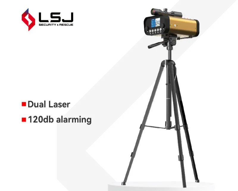 Real-Time Displacement Measurement System