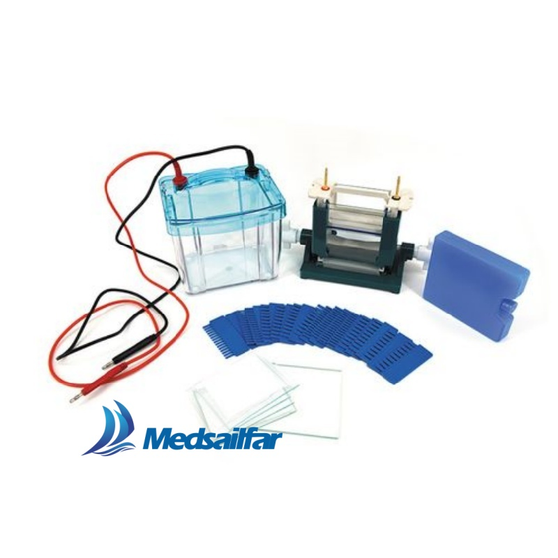 Medical Lab DNA Analysis Equipment Vertical Mini Electrophoresis Tank Systems