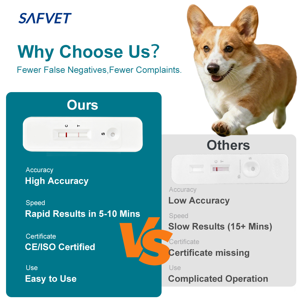 Dog 3 Way Test Kit EHR ANA BAB Test Canine Ehrlichia Anaplasma Babesia Gibsoni Combo Test Kit