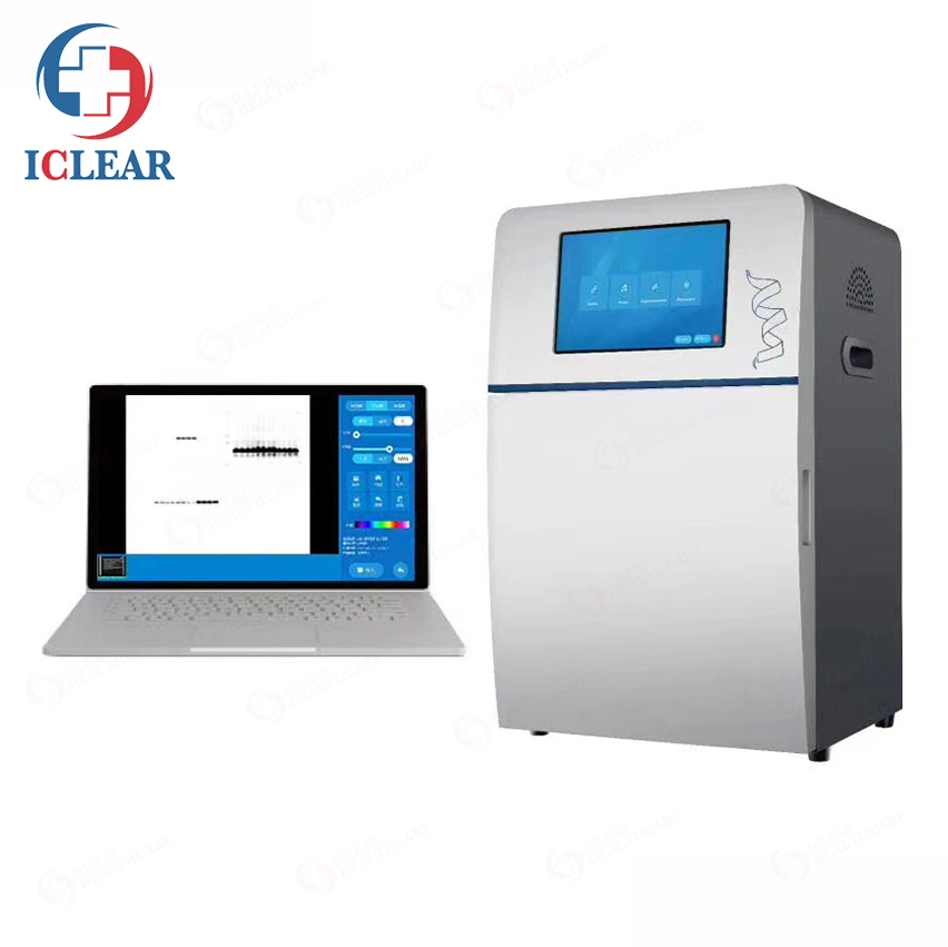 5.2 Megapixels DNA/Rna and Protein UV Gel Doc Imaging Analysis System