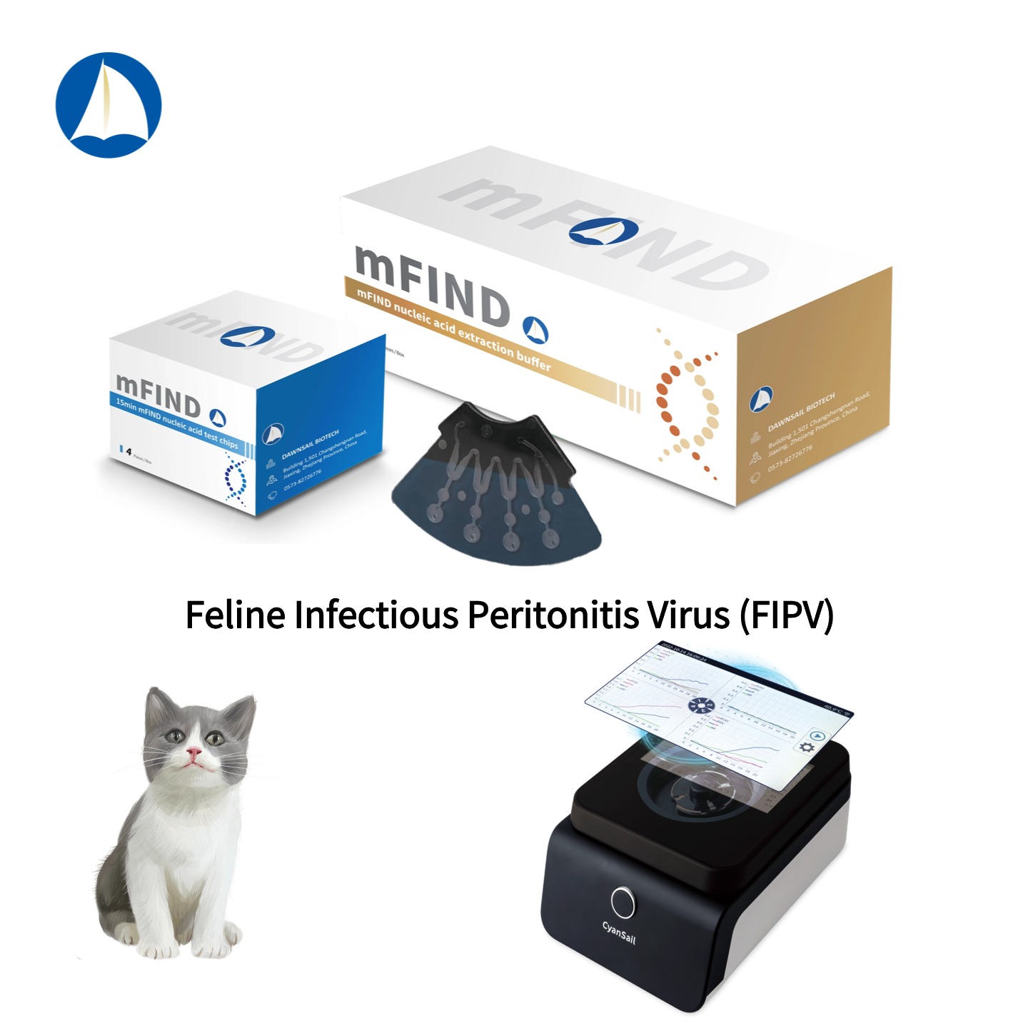 Pet Clinic FIPV Diagnosis Feline Infectious Peritonitis Virus Dna Testing Machines for Pet Dieases