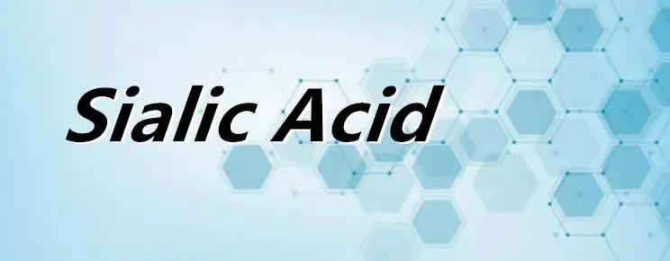 Sialic Acid Powder