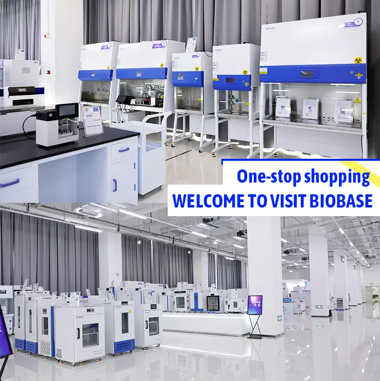 Exhibition Hall 1