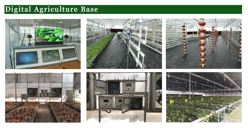 Production 3