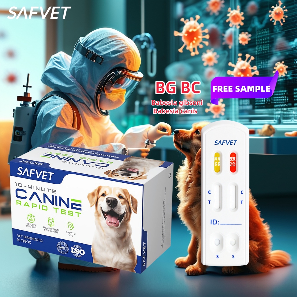 Veterinary Babesia Canine Diagnostic BG BC Test Pruebas Babesia Bab Gibsoni Ab Caballi Antibody In Dog Diagnosis Rapid Test Kit