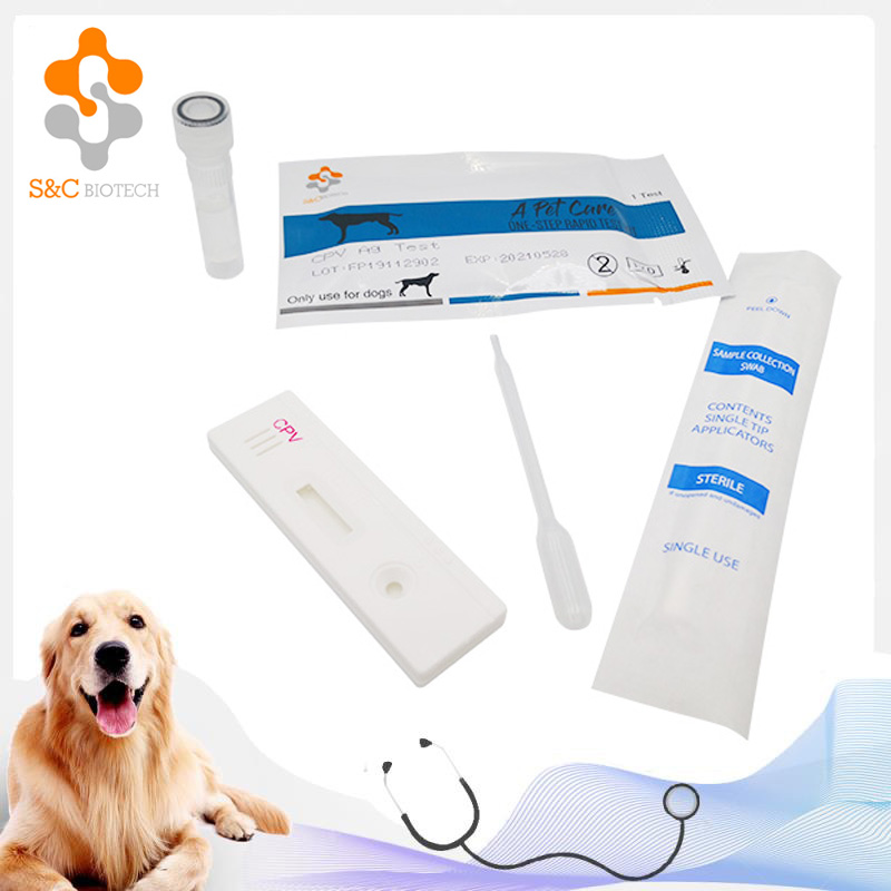 Rabies test kit