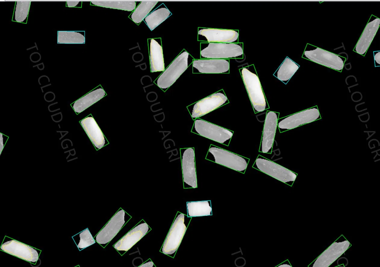 Good Quality Rice Shape Analysis System