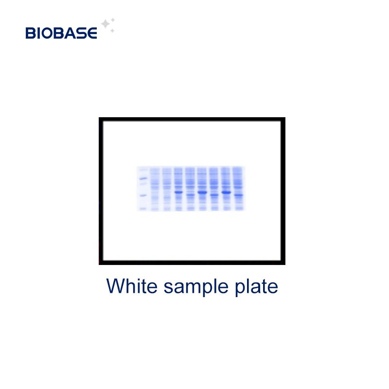 Biobase DNA Gel Documentation System Reader Gel Imaging Analysis Instrument