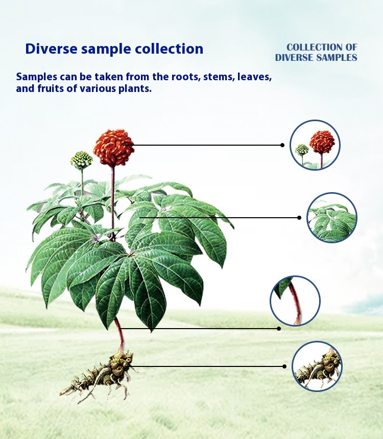 Plant Disease Diagnosis