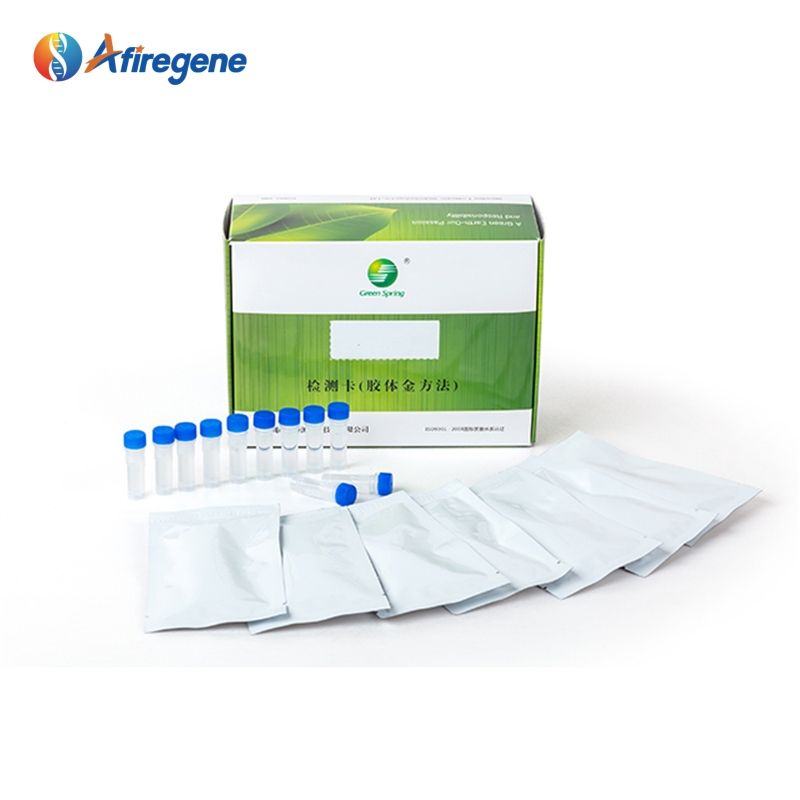 Antigen Rapid test Kit