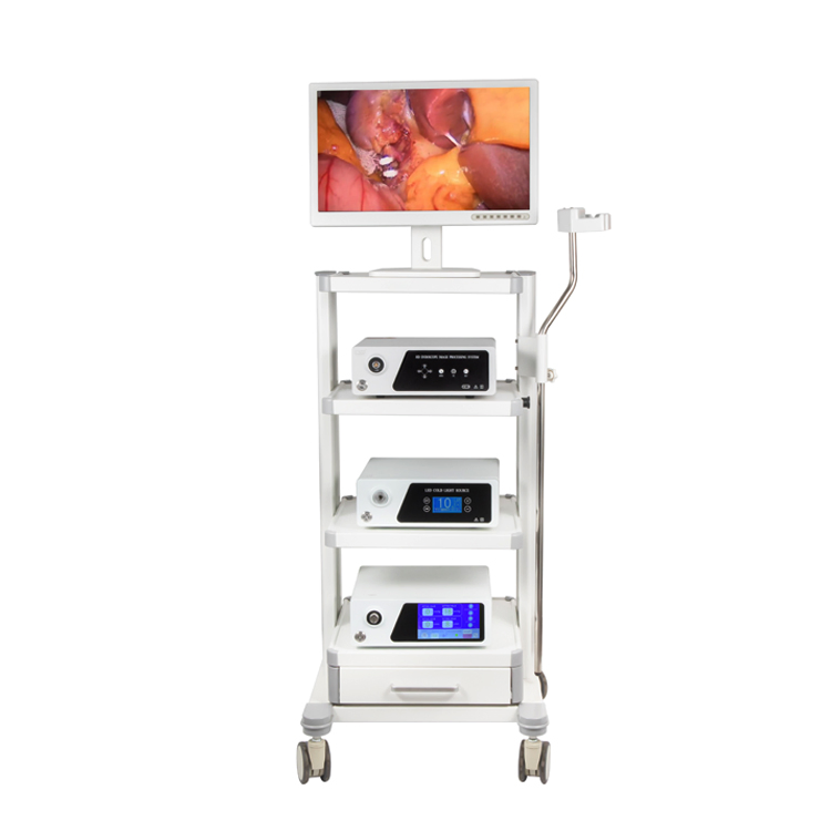 Diagnostic Spine Video Endoscope Endoscopy Instrument Imaging System for Surgery Examination