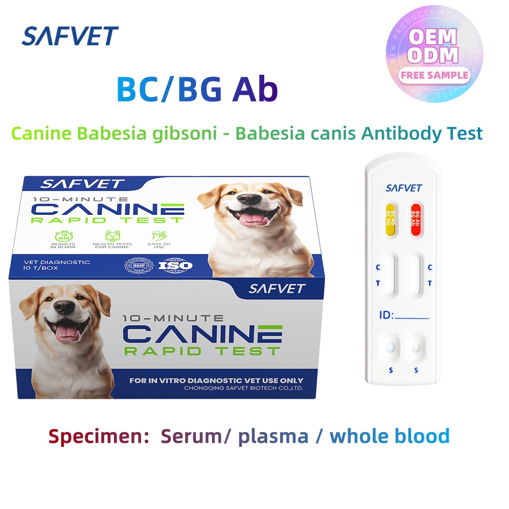 Veterinary Babesia Canine Diagnostic BG BC Test Pruebas Babesia Bab Gibsoni Ab Caballi Antibody In Dog Diagnosis Rapid Test Kit