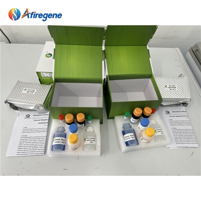 Product Display 6