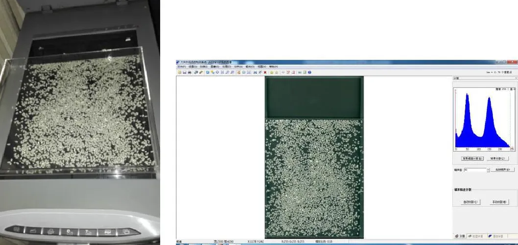 Rice Analysis Process 3