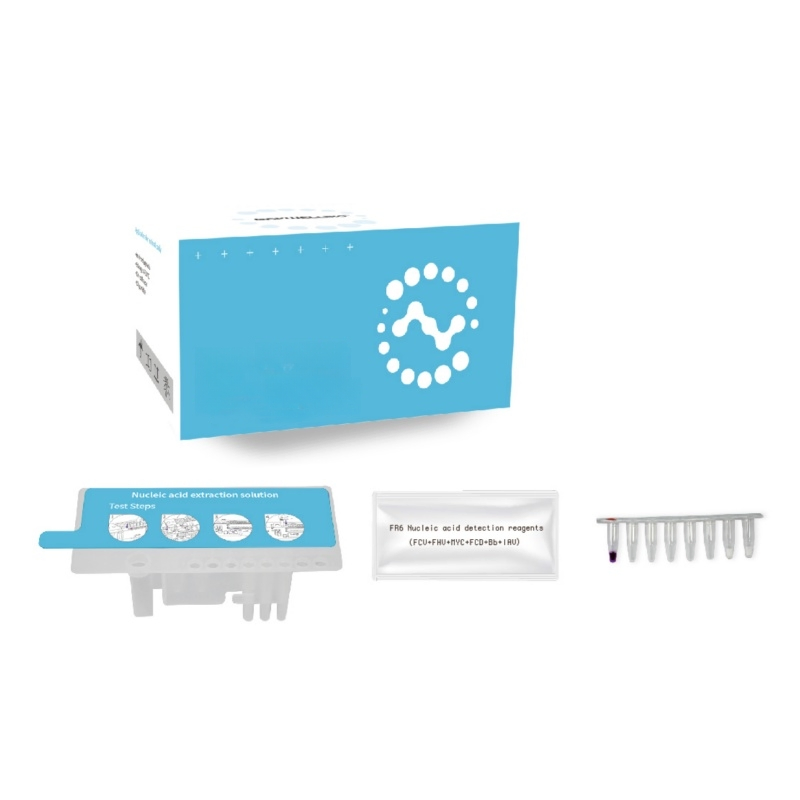 Fully Automatic PCR System for Veterinary Use Real-Time PCR Machine for Nucleic Acid Analysis Animal Disease Testing