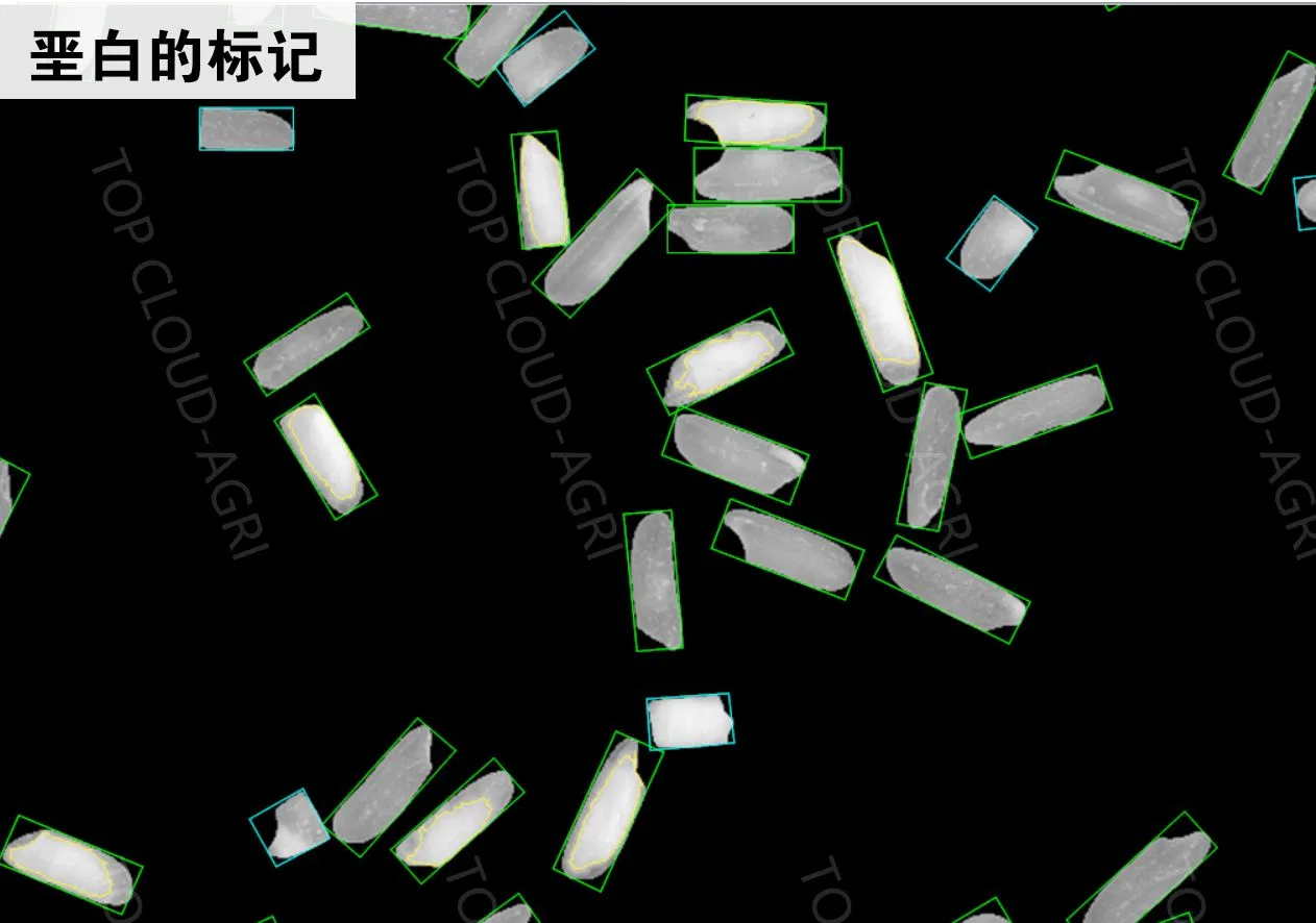 Rice Quality Detector/Rice Quality Inspection System