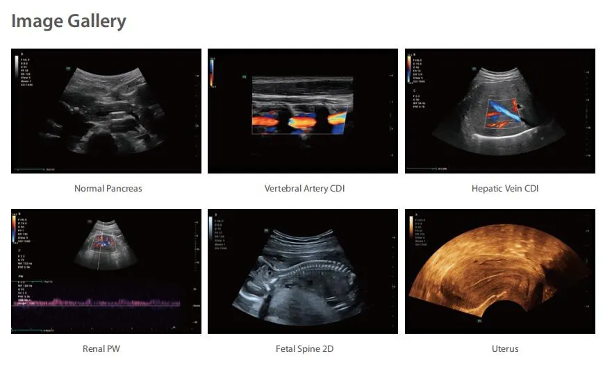 Clinical Image 4