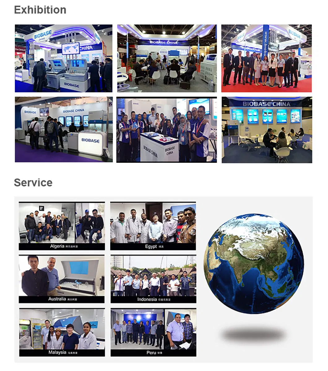 Global Exhibitions