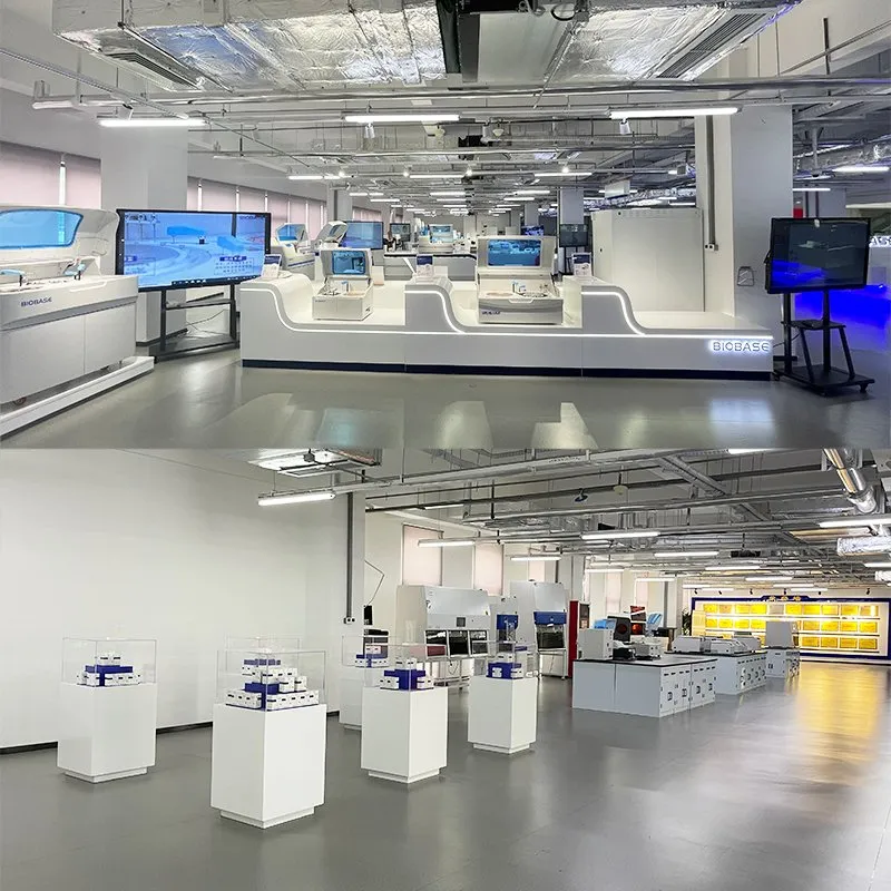 Exhibition Hall 3