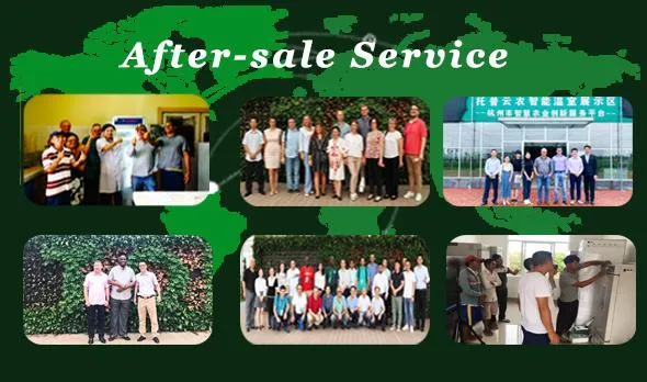 Global Service