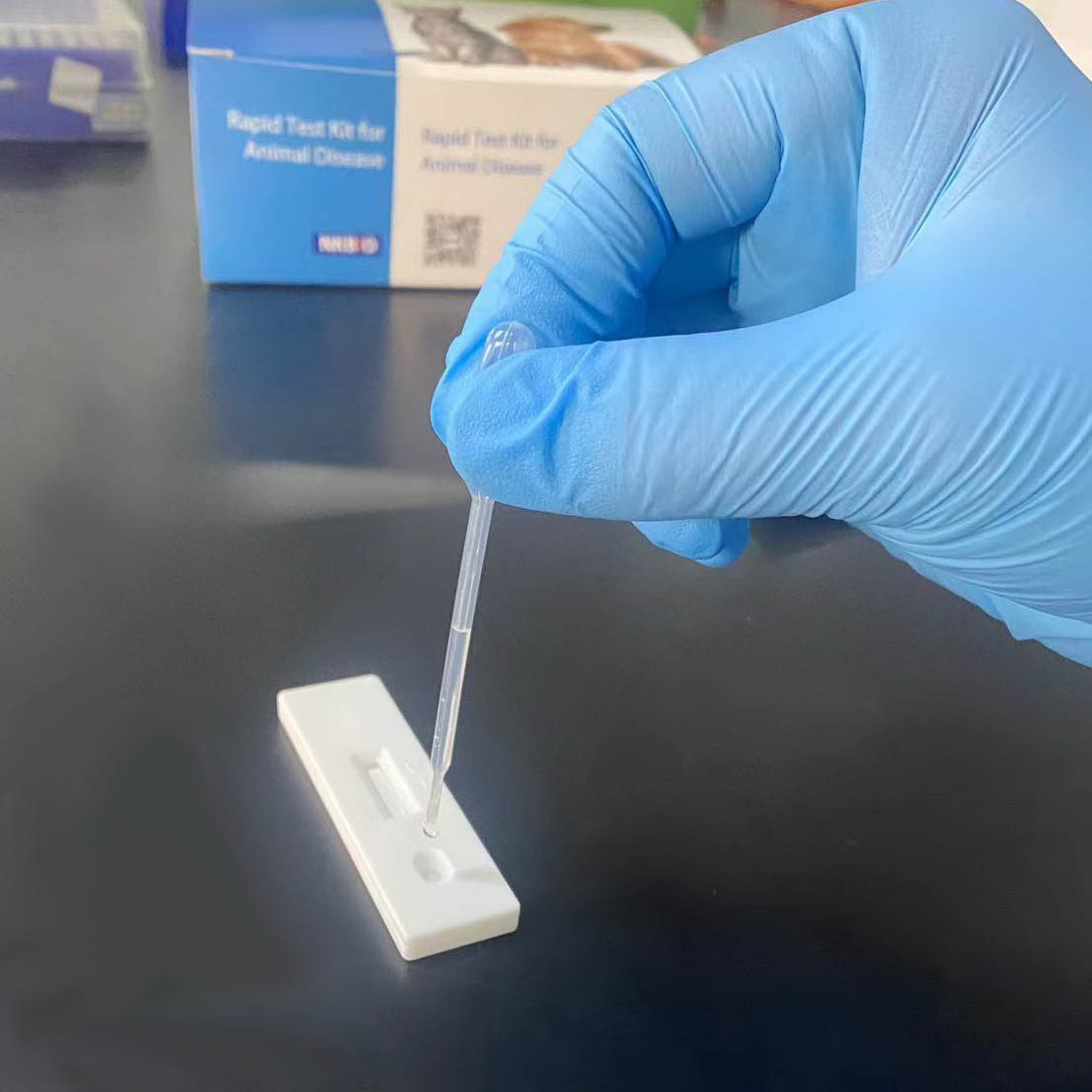 ELISA Kits for Diagnosis of Infectious Bovine Rhinotracheitis (IBR) in Cattle and Buffaloes