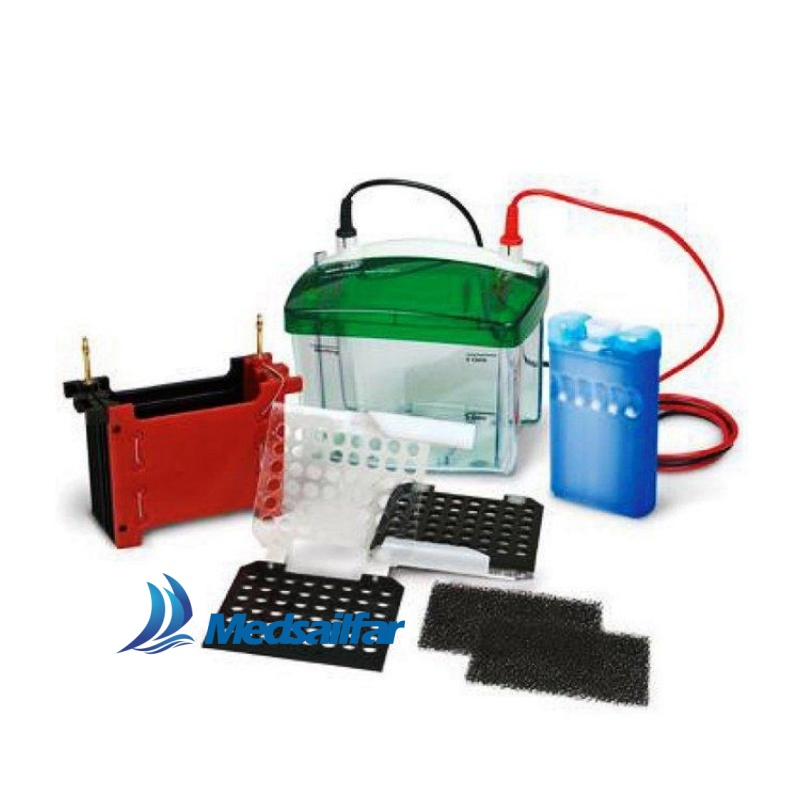 Medical Lab DNA Analysis Equipment Vertical Mini Electrophoresis Tank Systems