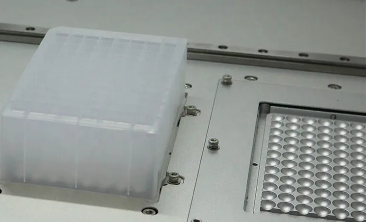 Internal Structure 1