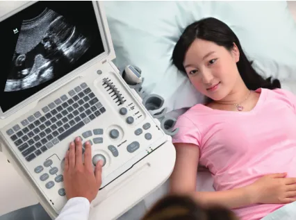 Ultrasound Display 5