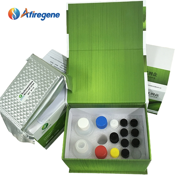 Product Display 2