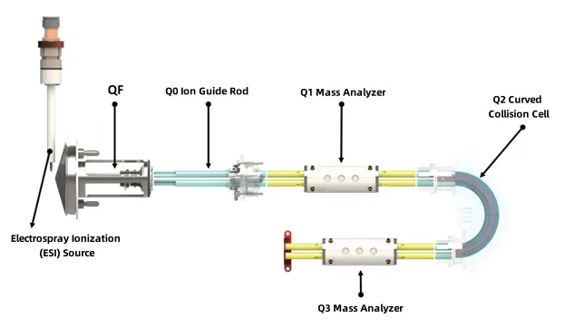 Analysis Detail 4