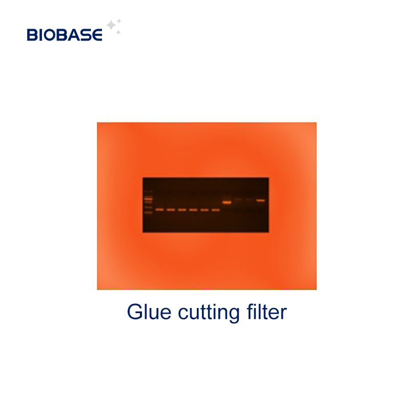Biobase DNA Gel Documentation System Reader Gel Imaging Analysis Instrument