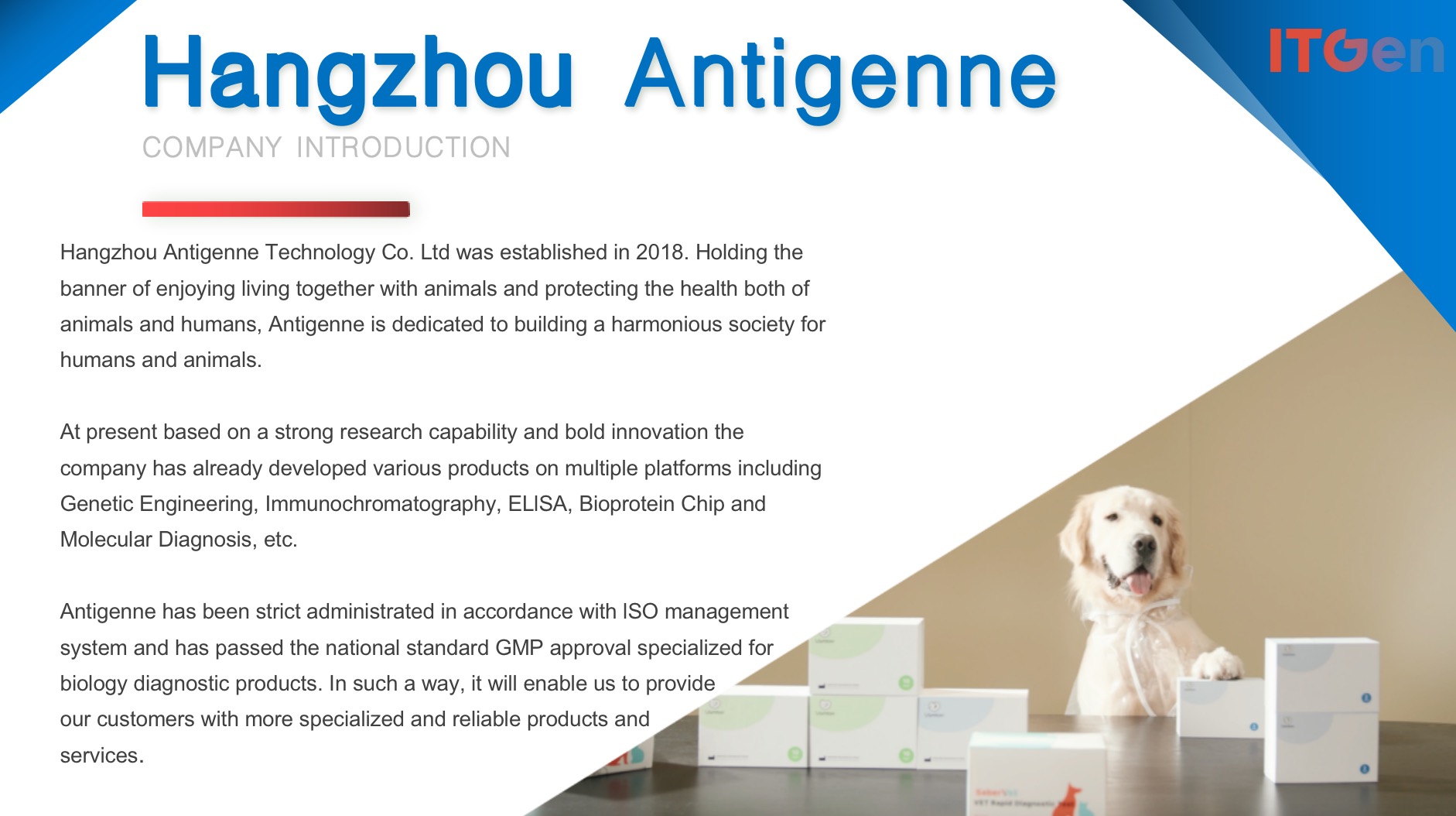 Company overview