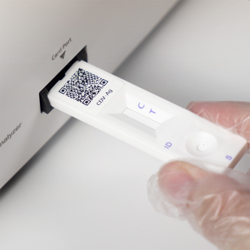 Fluorescence Immunoassay Quantification Analyzer for Pet test Vet Diagnostic