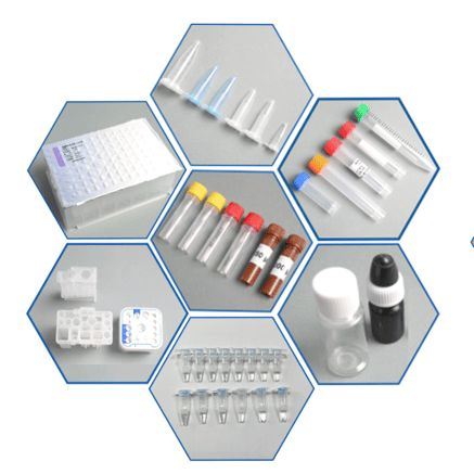Liquid Vial Packing and Sealing Machines for PCR Multiplex Diagnostic Kit