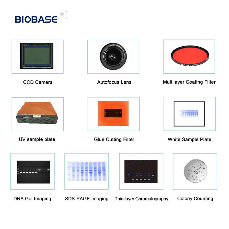 Biobase Gel Electrophoresis PCR Automatic Gel Imaging Analysis System
