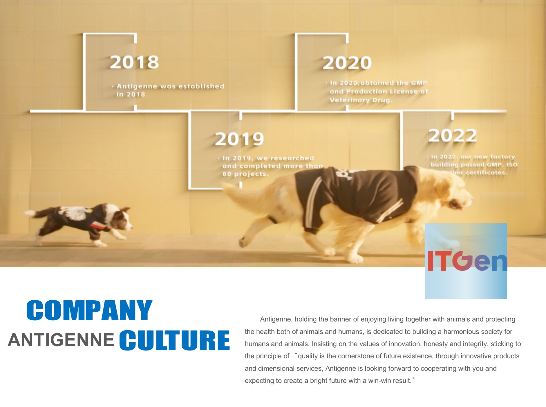 Company display