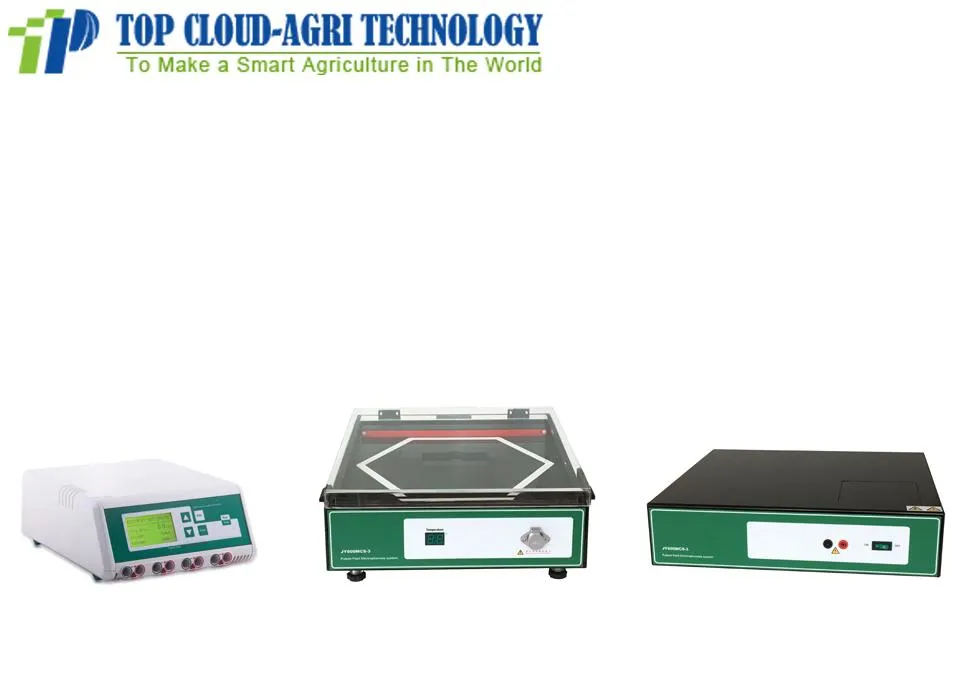 Electrophoresis System