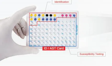 Lab Test Result