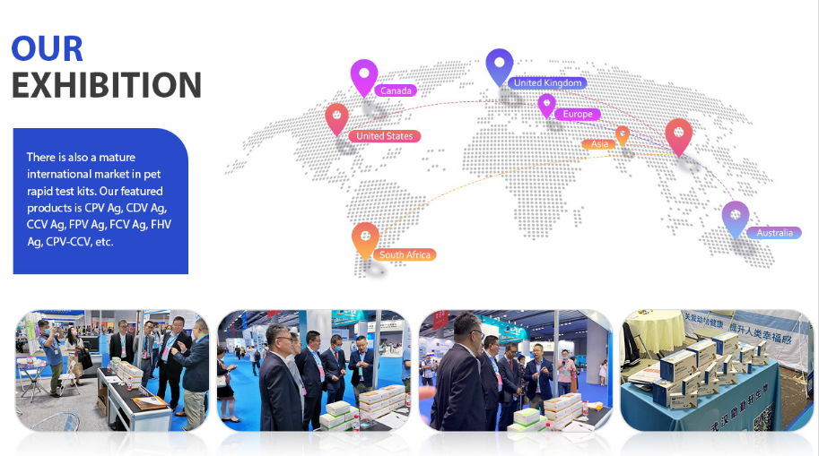 Exhibition Presence