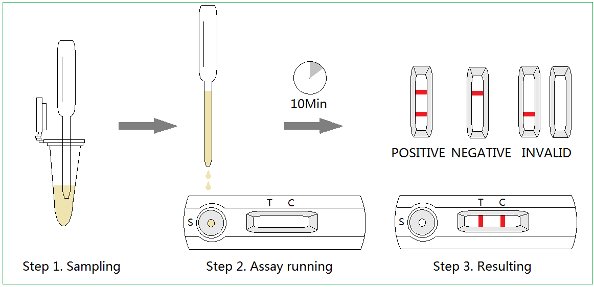 Test Procedure Diagram