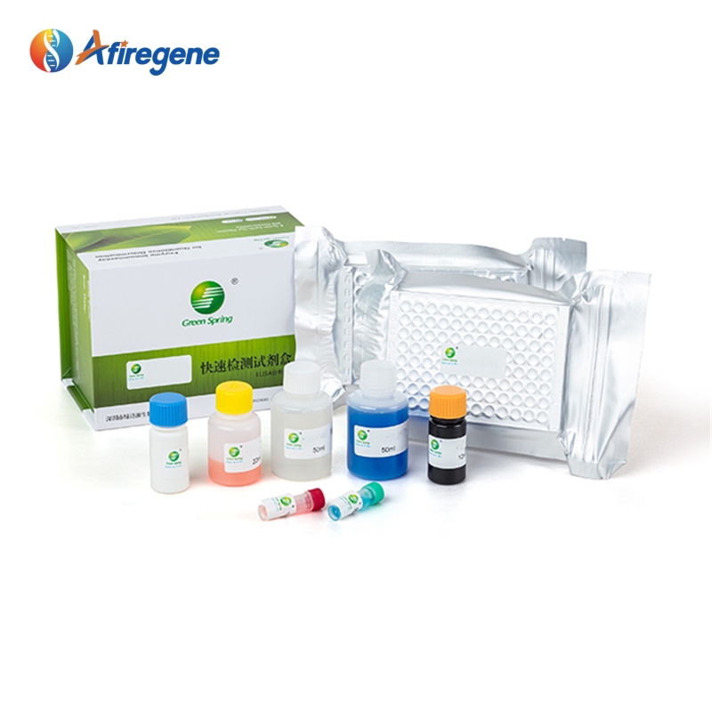 Product Display 1